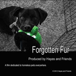 forgotten fur
